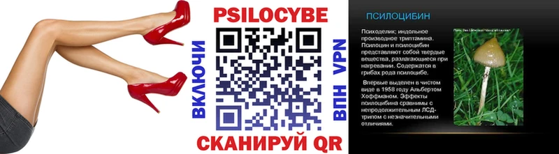 Псилоцибиновые грибы Psilocybe  где можно купить   Коломна 